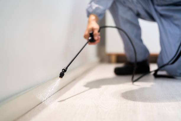 Professional exterminator conducting IPM assessment in Crockett