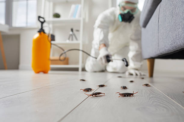 Commercial Rodent Management in Crockett